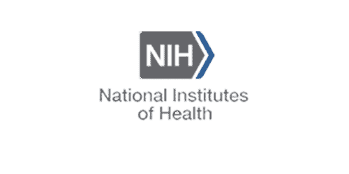 NIH Training Director